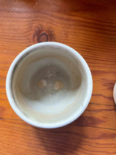 Load image into Gallery viewer, Refill for Concrete Bowl