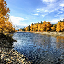 Load image into Gallery viewer, Bitterroot Fall