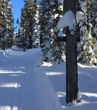 Load image into Gallery viewer, First Tracks