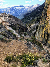 Load image into Gallery viewer, Mountain Trail Concrete Bowl