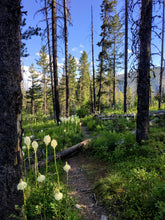 Load image into Gallery viewer, Mountain Trail Concrete Bowl